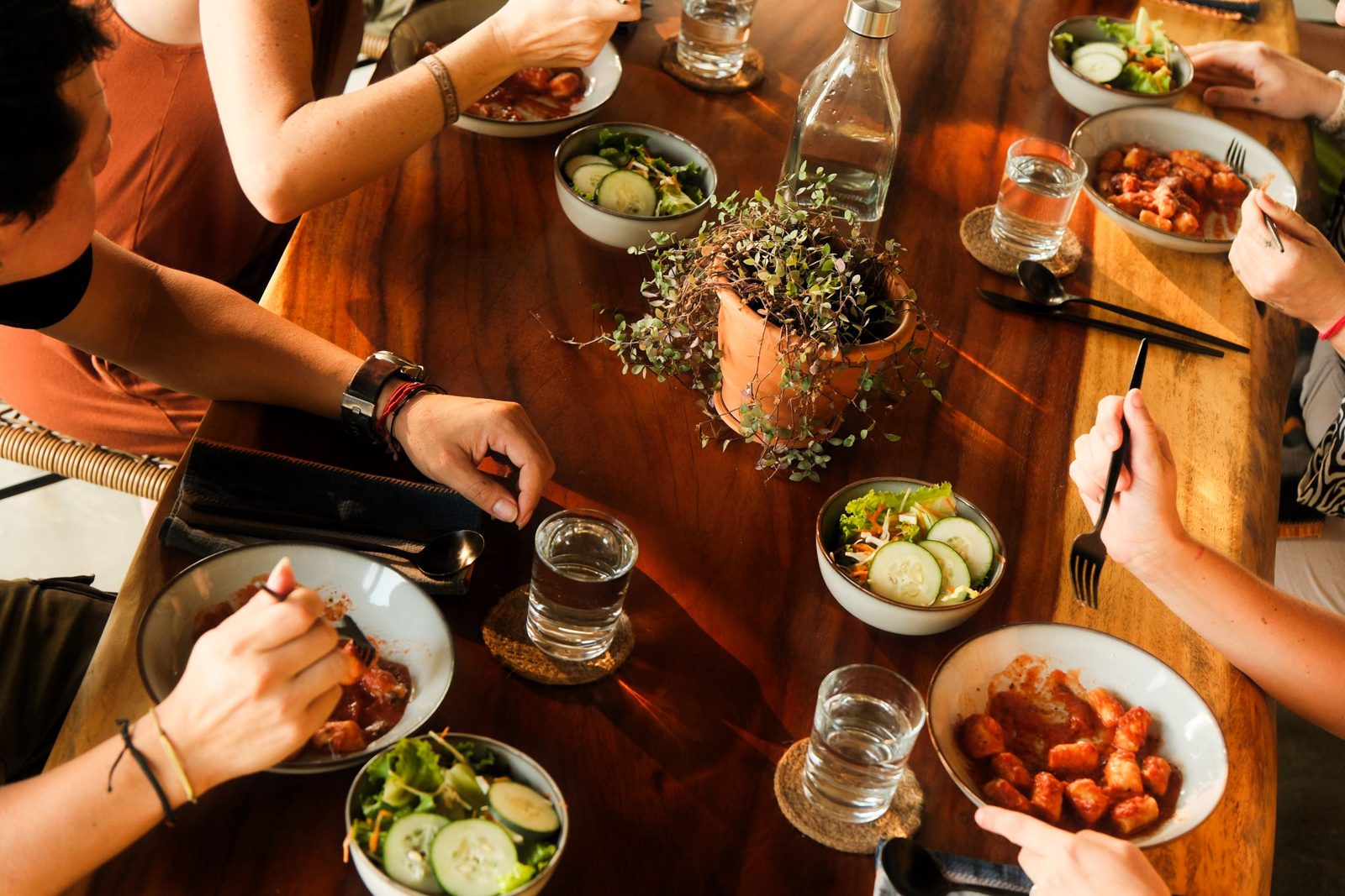 food / chef — Ananda Lodge