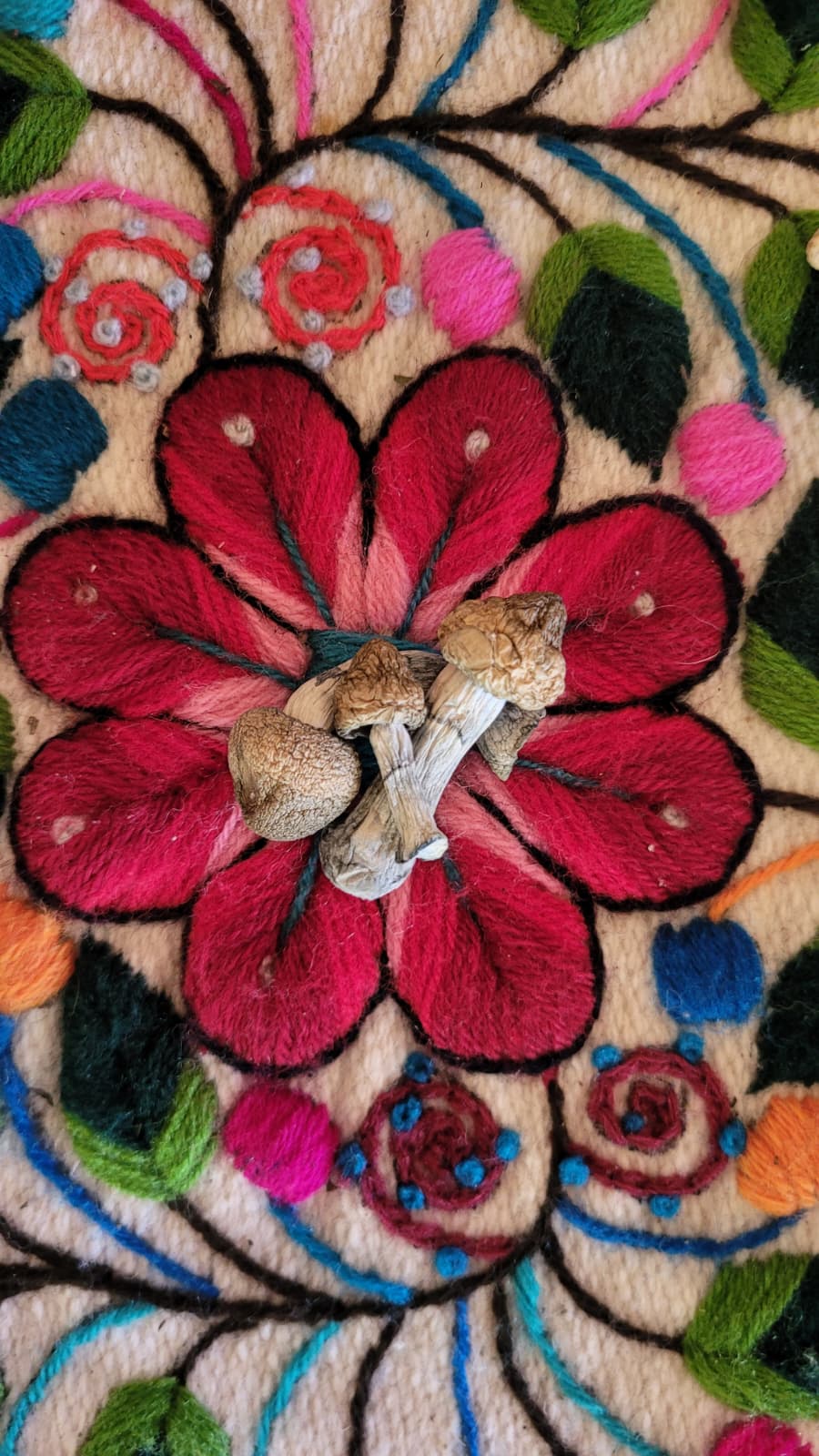ceremony / cacao — Ananda Lodge