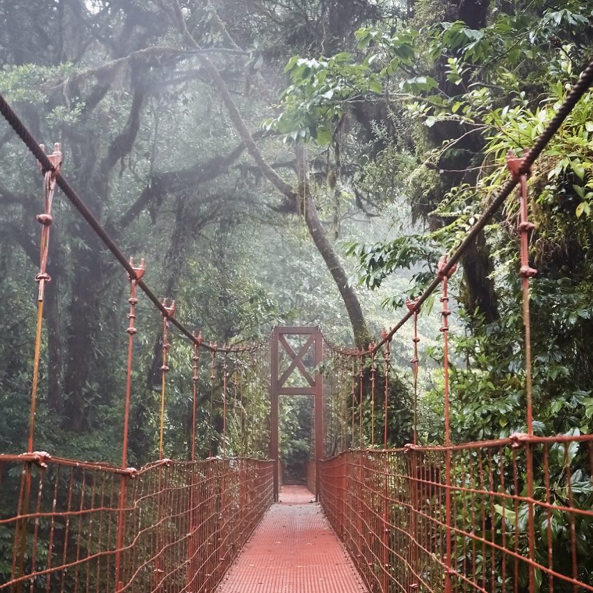 Red hanging bridge going through magnificent rainforest in Costa Rica