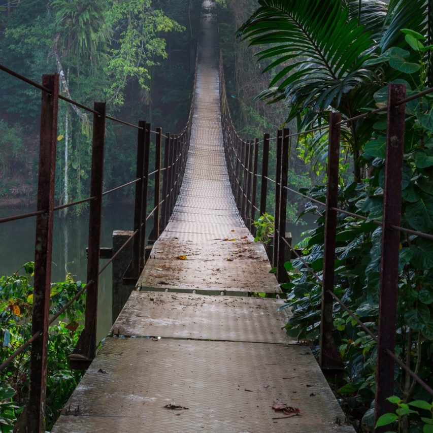 Suspension bridge in jungle, Sri Lanka